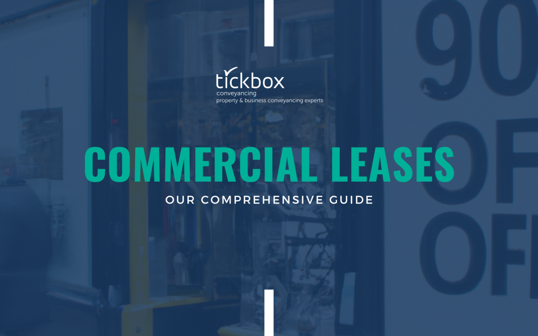 Deciphering Commercial Leases: A Comprehensive Guide